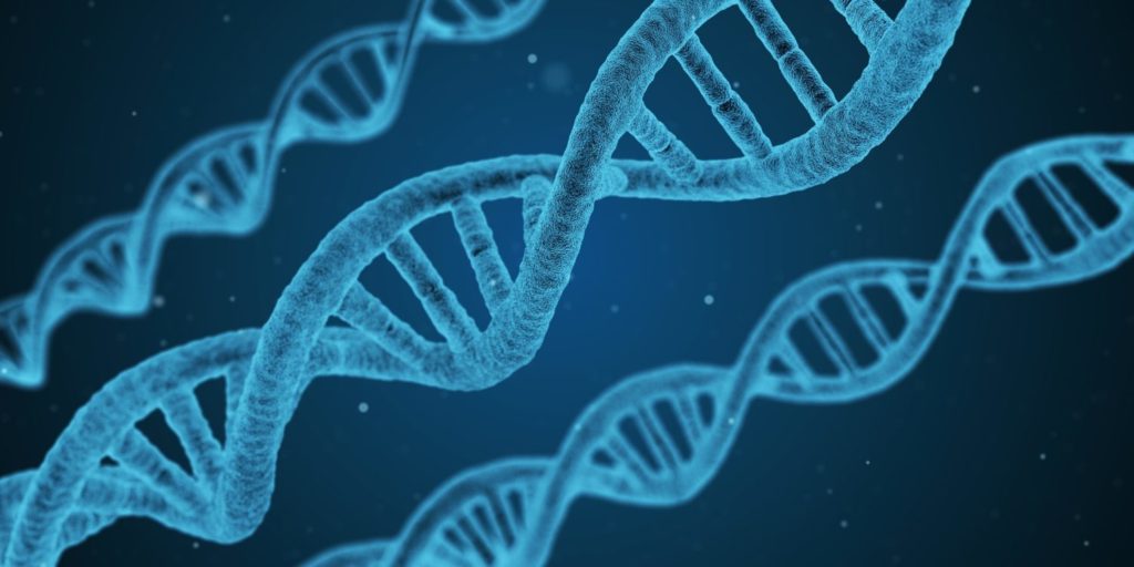 NIDA SCIENTISTS TARGET PROTEIN TO DEVELOP MEDICATION FOR COCAINE USE DISORDERS