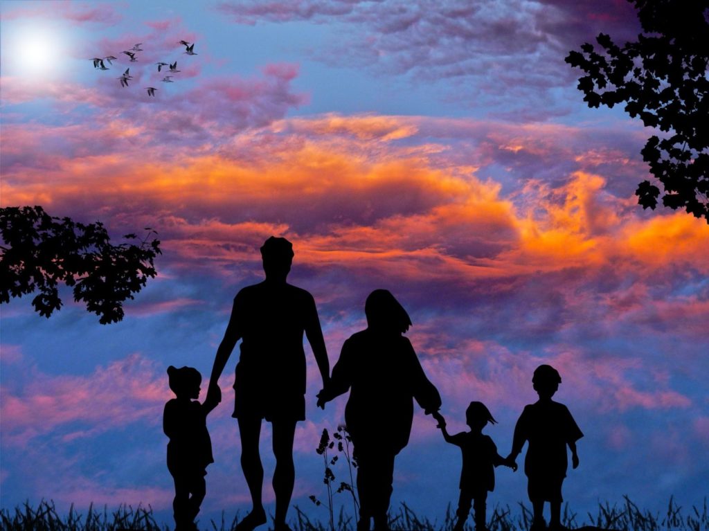 THE IMPACT OF THE OPIOID CRISIS ON FAMILY UNITS