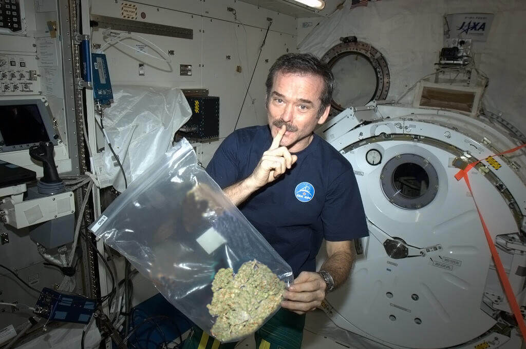 A COMPANY PLANS TO LAUNCH WEED INTO SPACE
