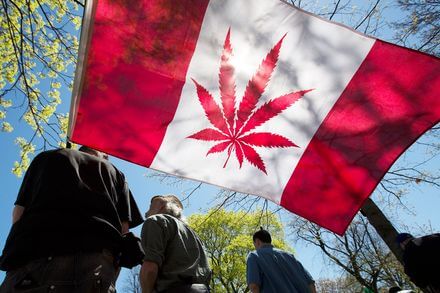 MARIJUANA RETAILERS IN CANADA ARE RUNNING OUT OF PRODUCTS