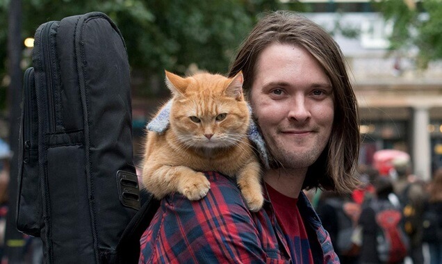 THE MOVIE A STREET CAT NAMED BOB ILLUSTRATES ONE OF THE MOST IMPORTANT STEPS TOWARDS RECOVERY