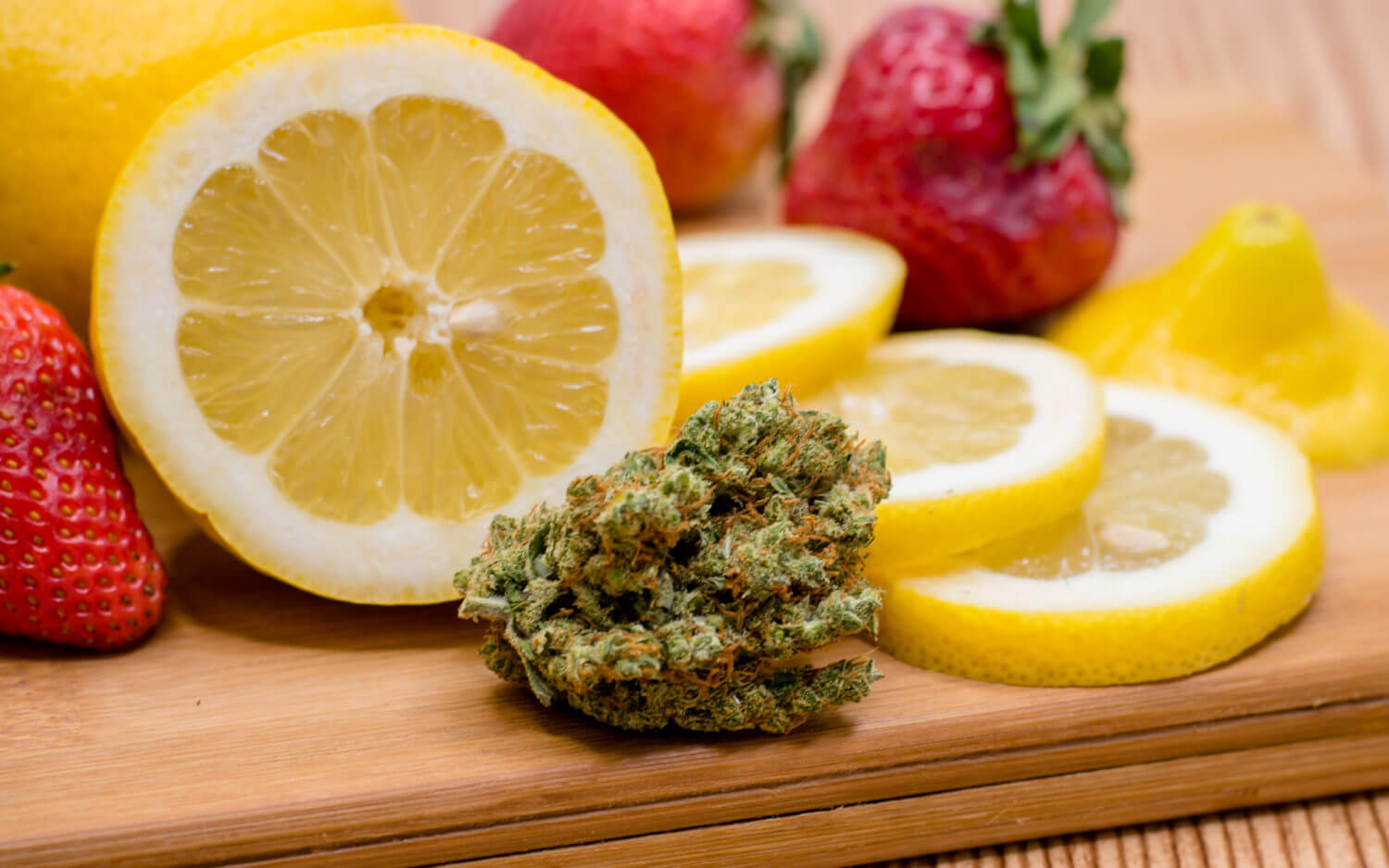 MARIJUANA PLANTS WITH THE HIGHEST TERPENE CONCENTRATIONS