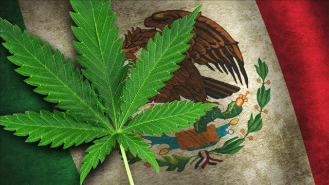 LAWYERS ARE WINNING THE FIGHT FOR LEGALIZING POT IN MEXICO