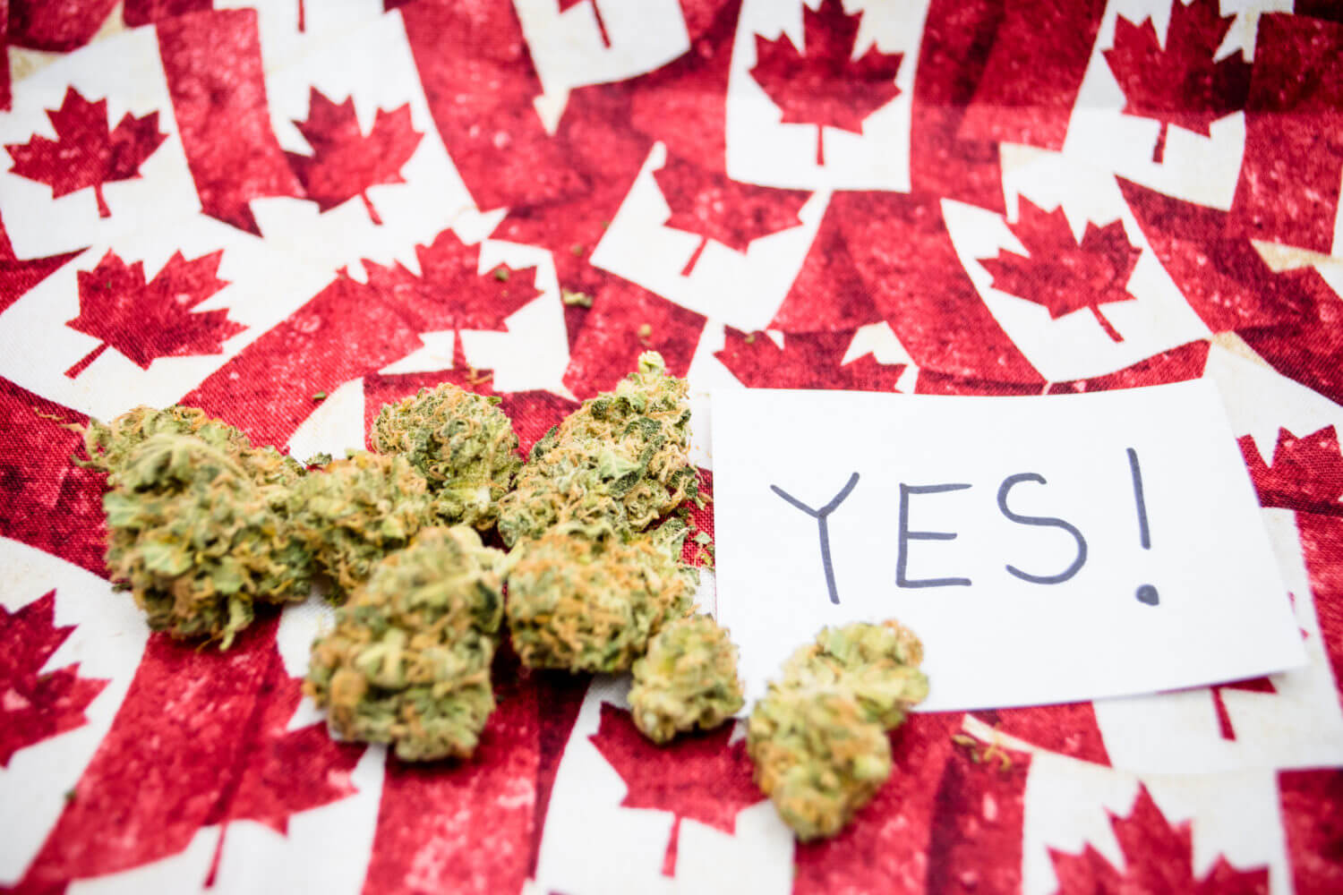 MARIJUANA RETAILERS IN CANADA ARE RUNNING OUT OF PRODUCTS