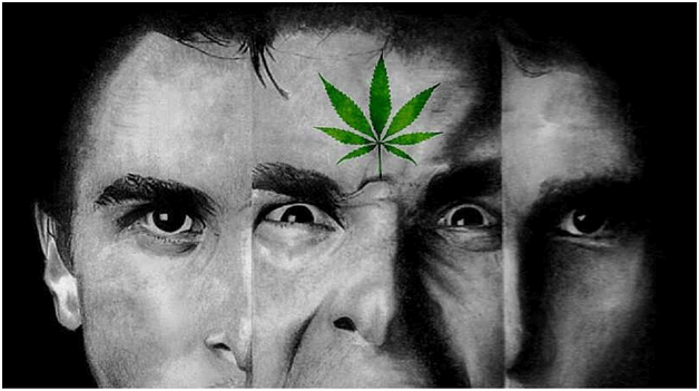 WHY SCHIZOPHRENICS TURN TO MARIJUANA USE