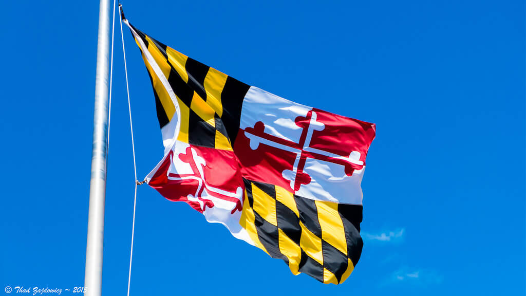 THE IMPACT OF THE OPIOID CRISIS ON MARYLAND