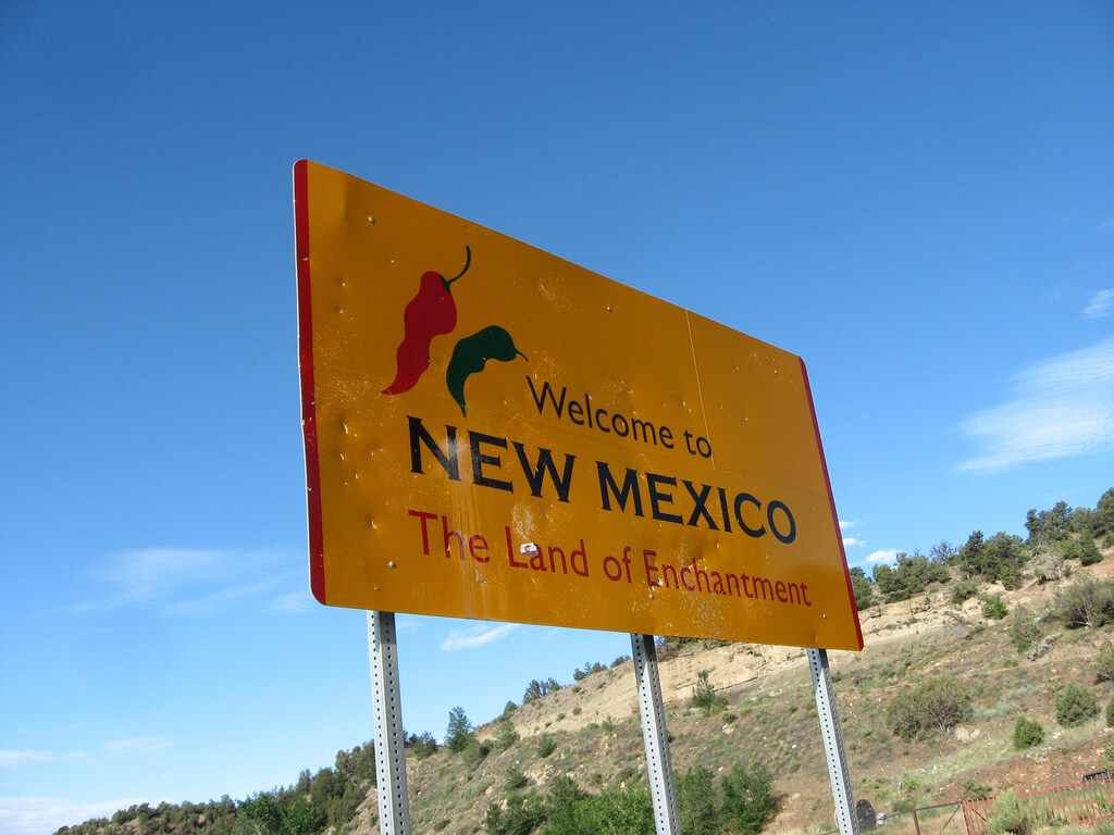 THE IMPACT OF THE OPIOID CRISIS ON NEW MEXICO