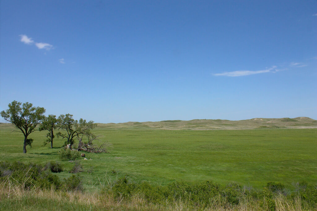 SOME FACTS ABOUT CANNABIS LAWS IN NEBRASKA
