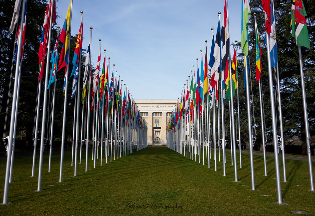 2019 UNITED NATIONS SUMMIT WILL FOCUS ON THE FLAWS OF INTERNATIONAL DRUG POLICIES