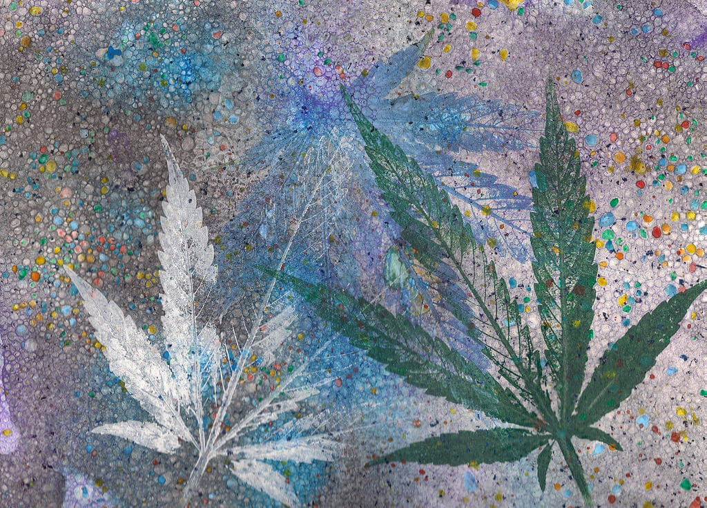 HOW WEED HAS CHANGED OVER THE PAST FORTY YEARS
