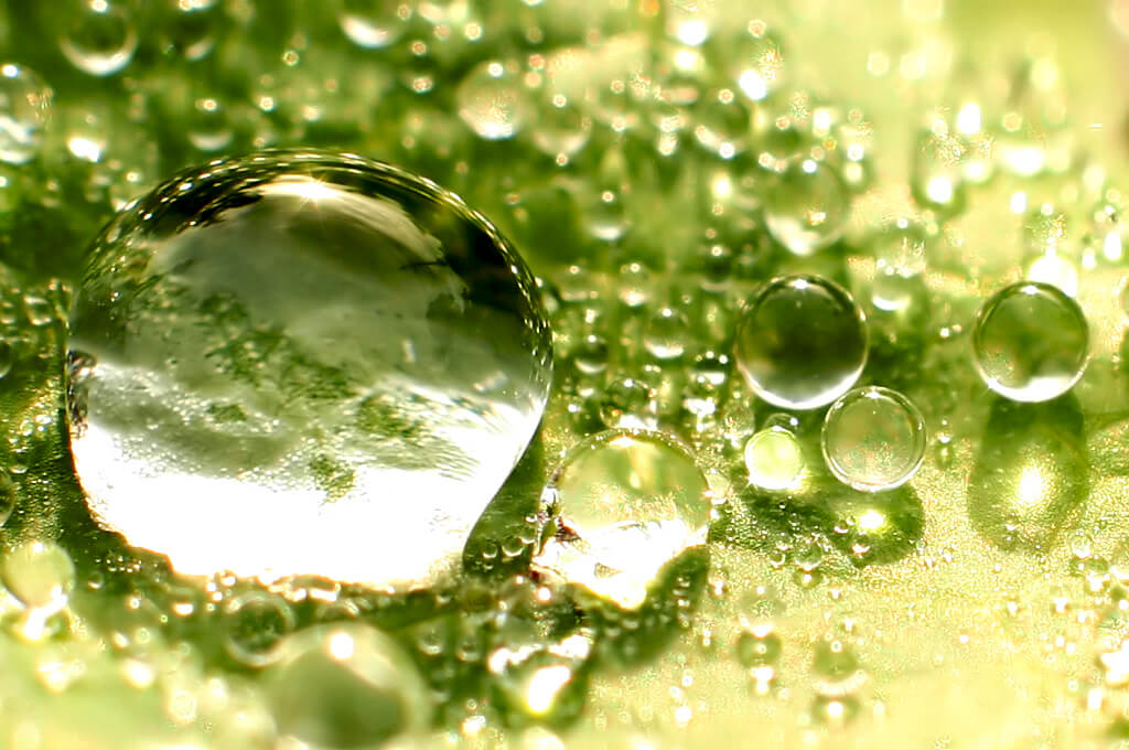 WHAT YOU NEED TO KNOW ABOUT DISSOLVABLE CANNABINOIDS