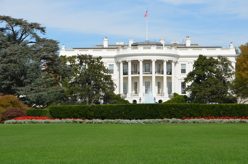 THE IMPACT OF THE OPIOID CRISIS ON WASHINGTON D.C.
