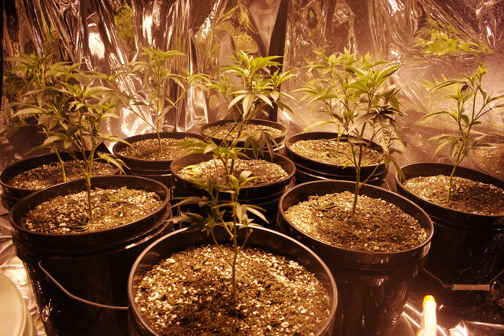 TEXAS STATE REPRESENTATIVE JOE MOODY INTRODUCES BILL TO DECRIMINALIZE SMALL AMOUNTS OF MARIJUANA