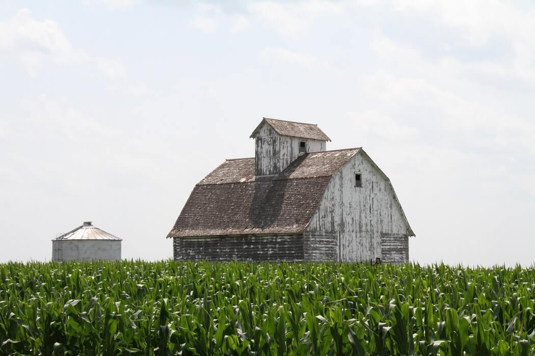 IOWA MIGHT ADD TWO MORE QUALIFYING CONDITIONS FOR MEDICAL CANNABIS
