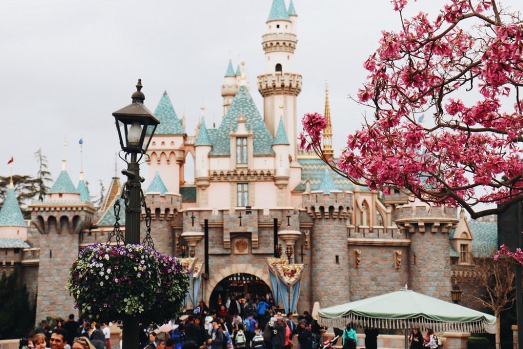THE REALITY OF ALCOHOLIC BEVERAGES AT WALT DISNEY WORLD