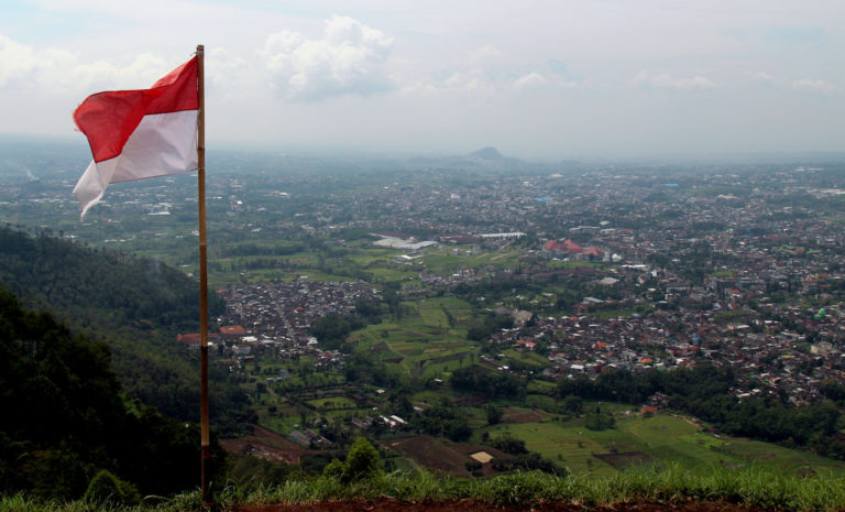 THE FIGHT AGAINST ZERO-TOLERANCE LAWS FOR MARIJUANA IN INDONESIA