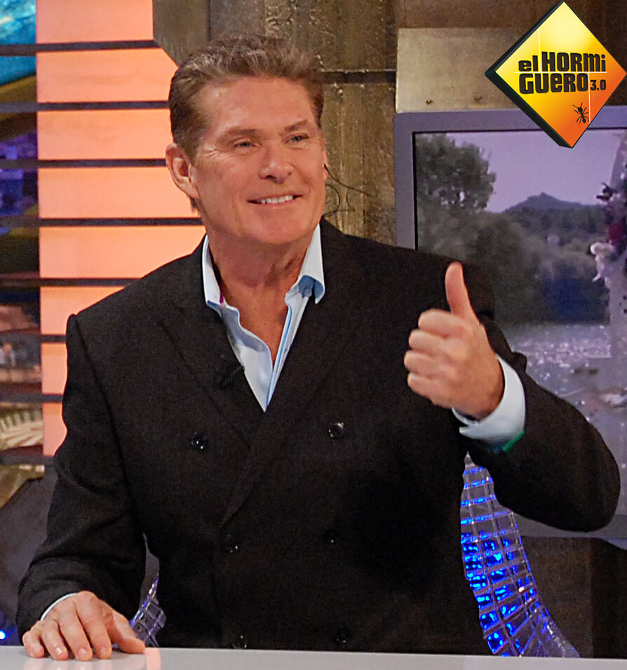 DAVID HASSELHOFF’S BIZARRE BOUTS OF ALCOHOLISM