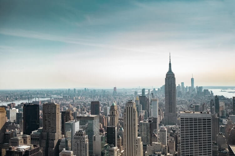 THE IMPACT OF THE OPIOID CRISIS ON NEW YORK