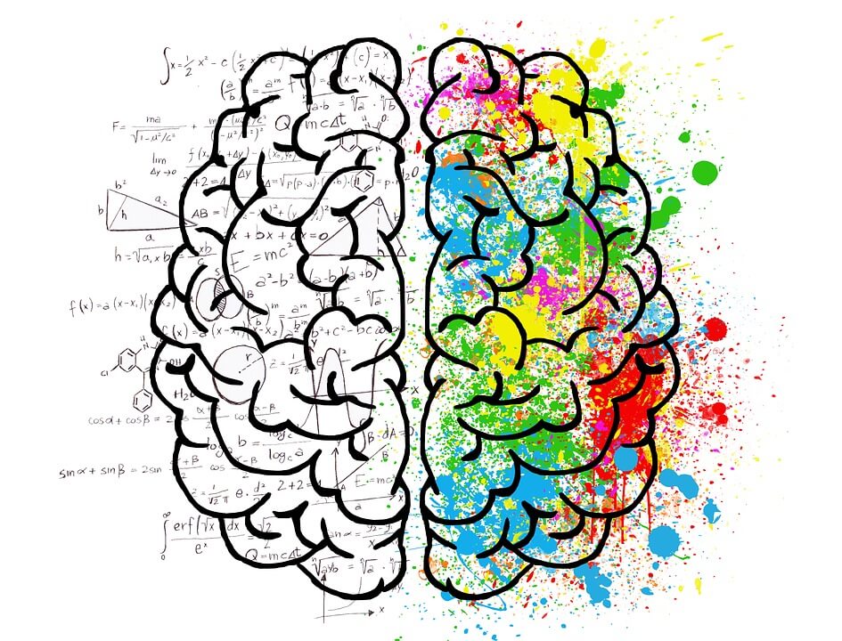 How Drugs Affect the Receptors in the Brain