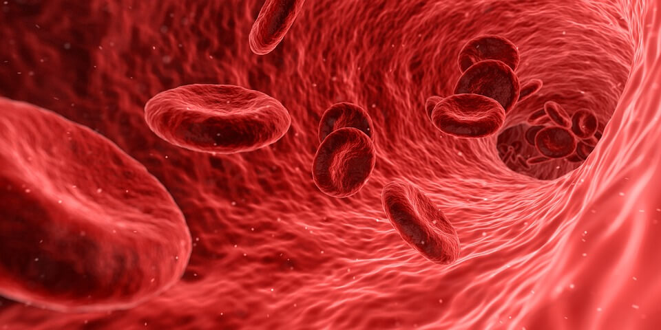 HOW CIGARETTES INCREASE THE RISK OF ATHEROSCLEROSIS
