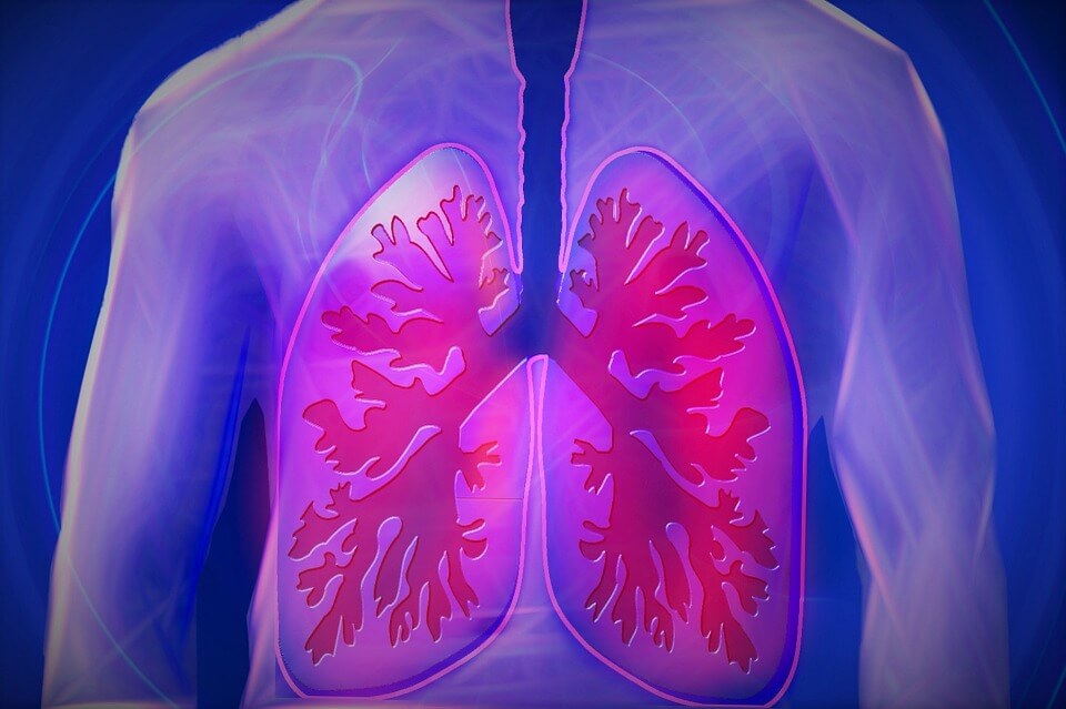 HOW SMOKING DAMAGES THE ALVEOLI IN YOUR LUNGS