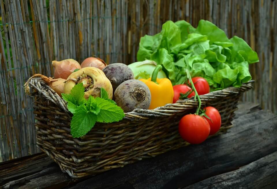 The Proper Diet for Alcohol Withdrawal