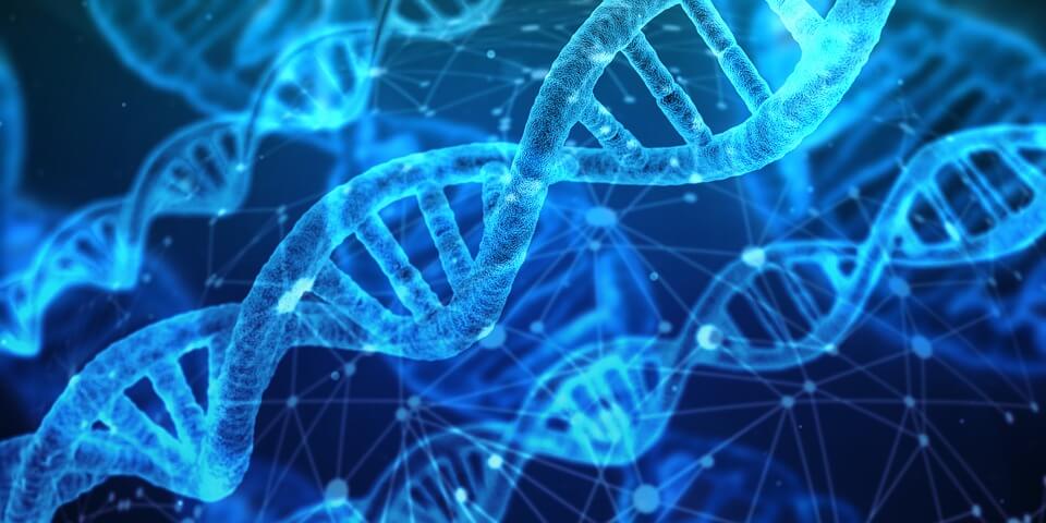 The Connection between Drug Problems and Epigenetics