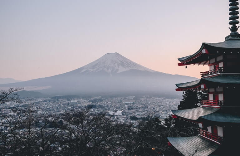 Comparing Opioid Problems in the United States and Japan