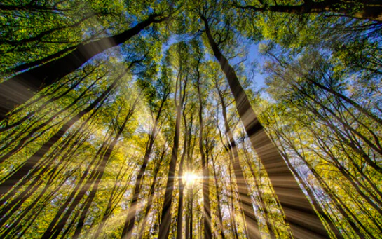 BUILDING EMOTIONAL HEALTH DURING RECOVERY-AR54