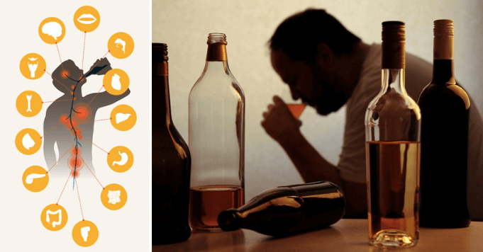 HOW YOUR BODY REACTS TO ALCOHOL-Screen Shot 2020-02-02 at 8.31.32 AM