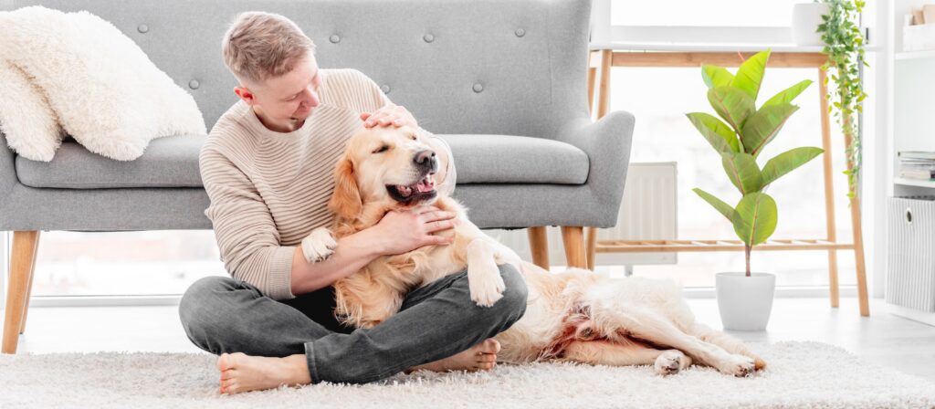 It is important to have a pet by your side; this increases the chances of full recovery.