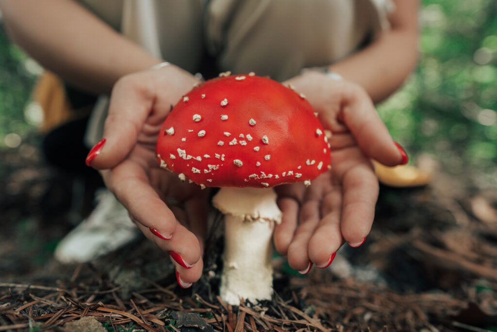 Psilocybin Lemon Tek: A Complete Guide to Enhanced Effects and Safety-lemon te pysilocibin1.jpg