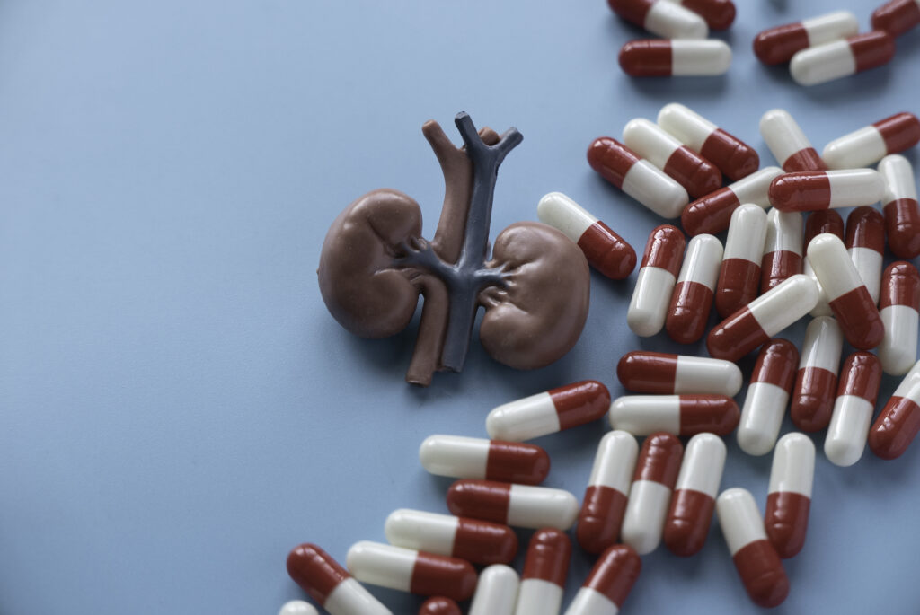 The Impact of Adderall on Kidney Health-adderal and kidneys 1.jpg