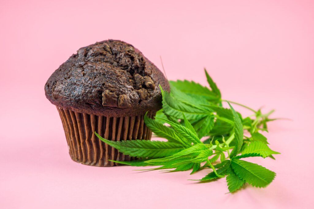 How to Recover From Edibles?-cannabis-chocolate-muffins-infused-with-cbd-or-thc-2023-11-27-05-25-43-utc (1).jpg