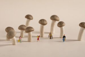 How long does shroom high last?-composition-of-miniature-people-figurines-among-mu-2023-11-27-05-30-07-utc (1).jpeg