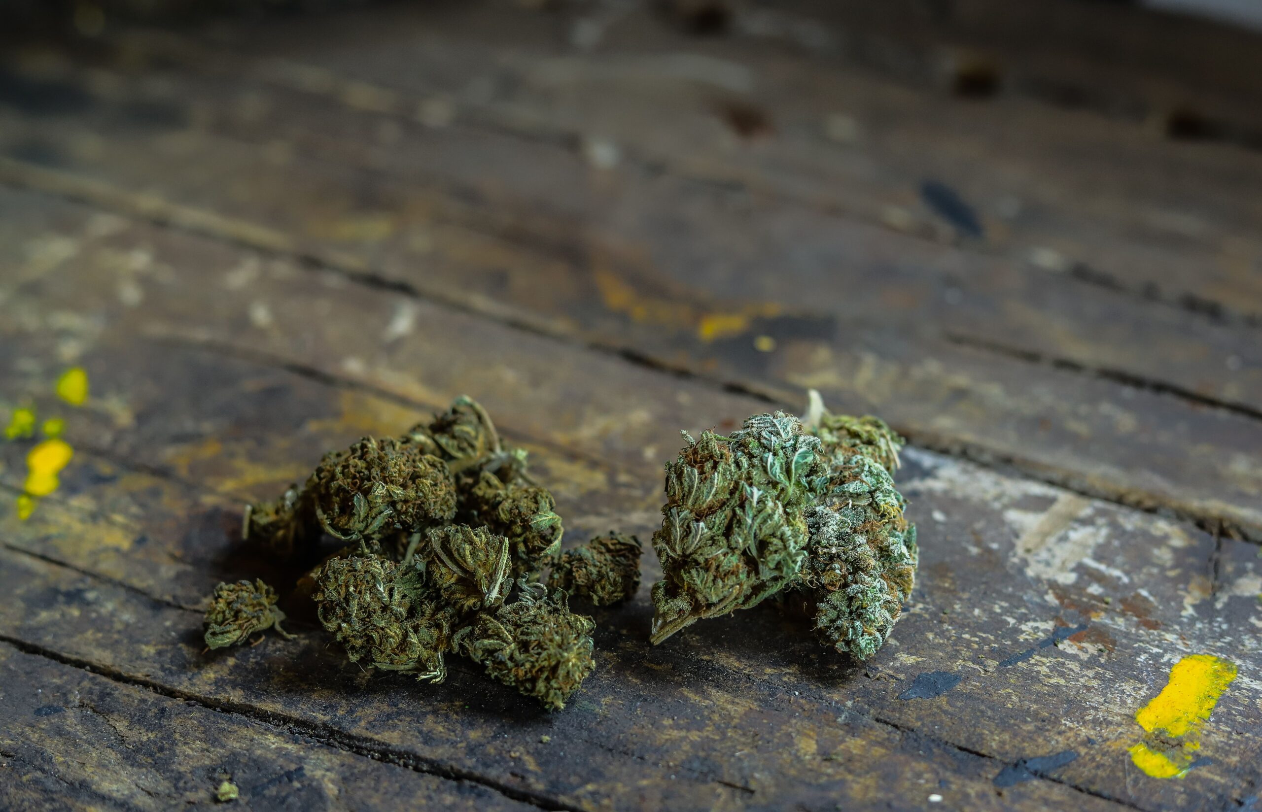 The Truth About Indica vs Sativa: Moving Beyond Traditional Cannabis Classifications-iindica vs sativa 2.jpg
