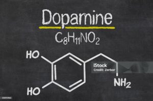 What is dopamine?-istockphoto-535912965-1024x1024.jpg