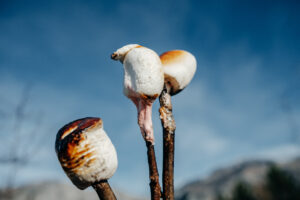 Can you od on lions mane mushrooms?-lions-mane-.jpg