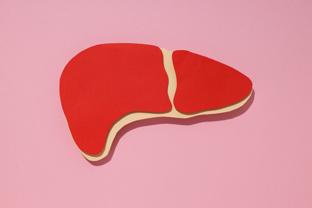 How Long Does It Take For Your Liver to Regenerate?-liver regenerate 1.jpg