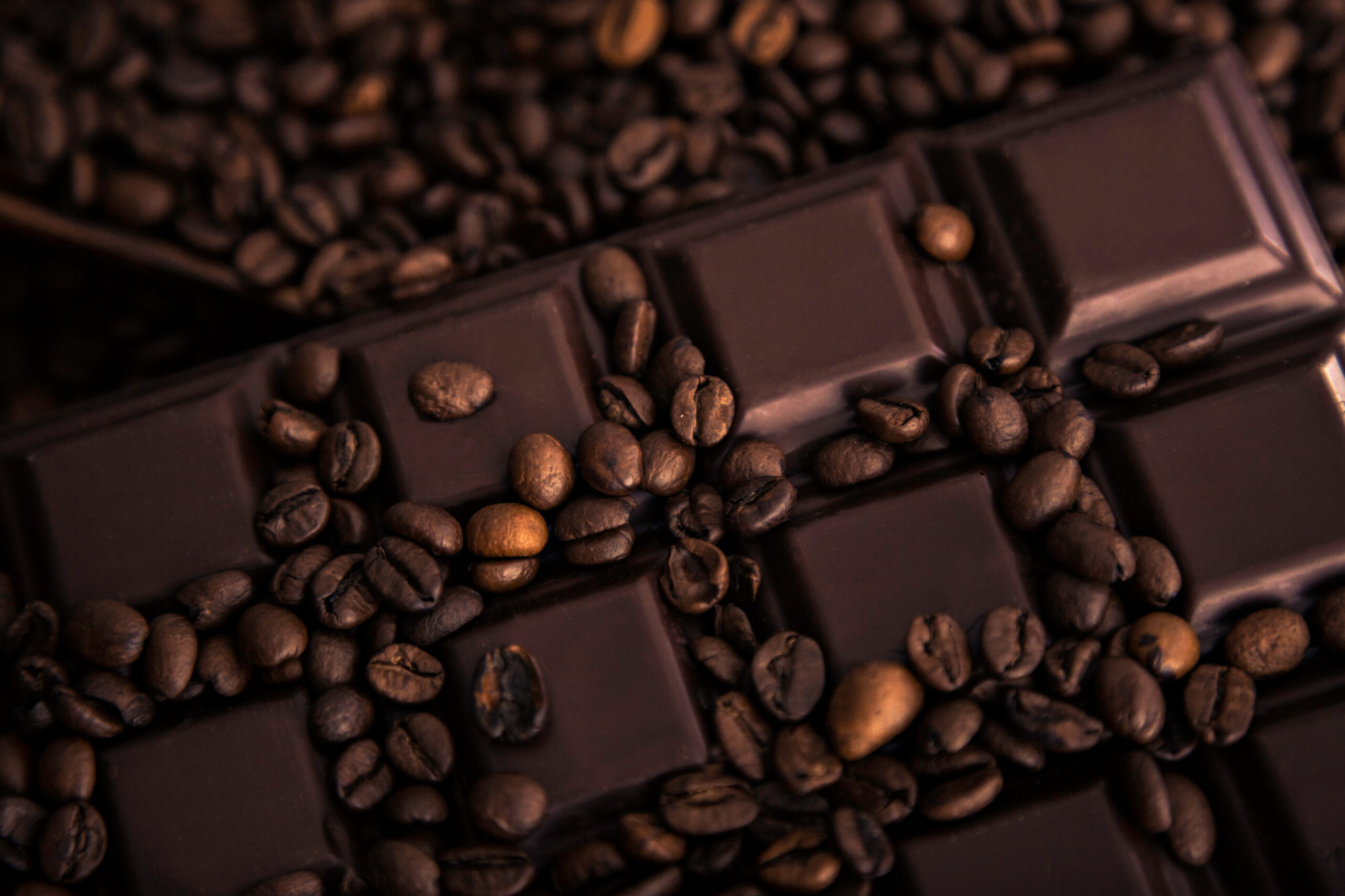 Trip Chocolate: A Comprehensive Guide-magic shrooms 2.jpg