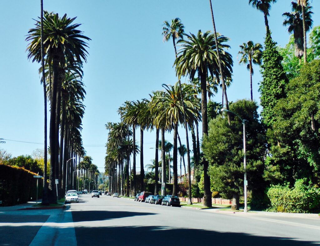 Orange County Rehab-orange county rehab 1.jpg
