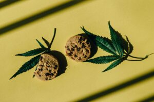 What does indica smell like vs sativa?-pexels-n-voitkevich-7852449.jpg