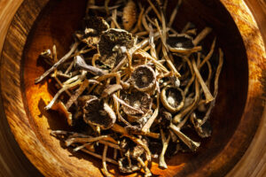 Can you od on psilocybin mushrooms?-psilocybin-mushrooms.jpg