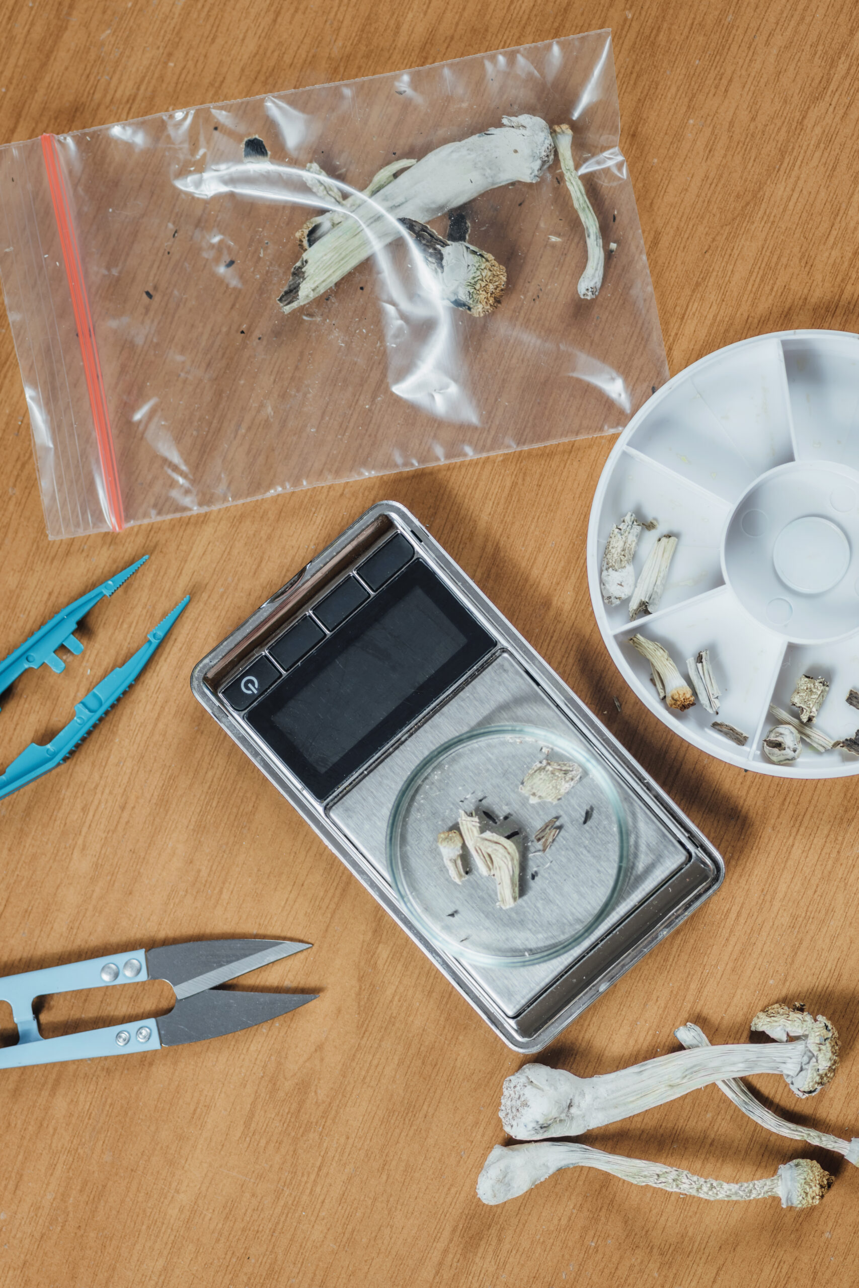 The Complete Guide to Magic Mushroom Pricing-shrooms gram 2.jpg