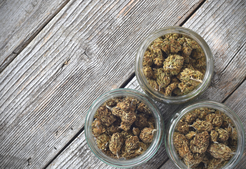 THCA vs THC: Understanding Cannabis Compounds-thca vs thc 1.jpg